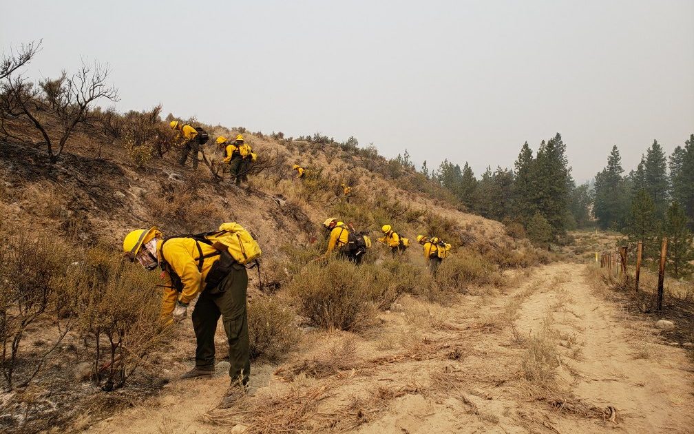 Canadian Interagency Forest Fire Centre (CIFFC) – BC Wildfire Service