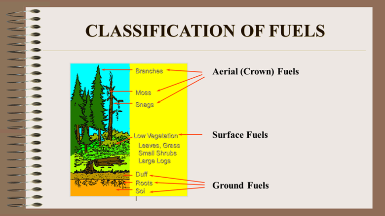 Image showing classification of forest fuels.
