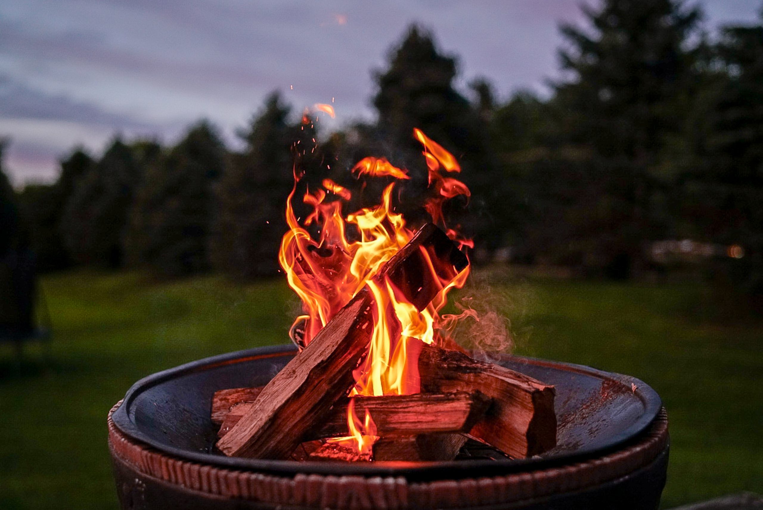 A campfire burning in a fire pit in a yard. Trees are also seen in the background.