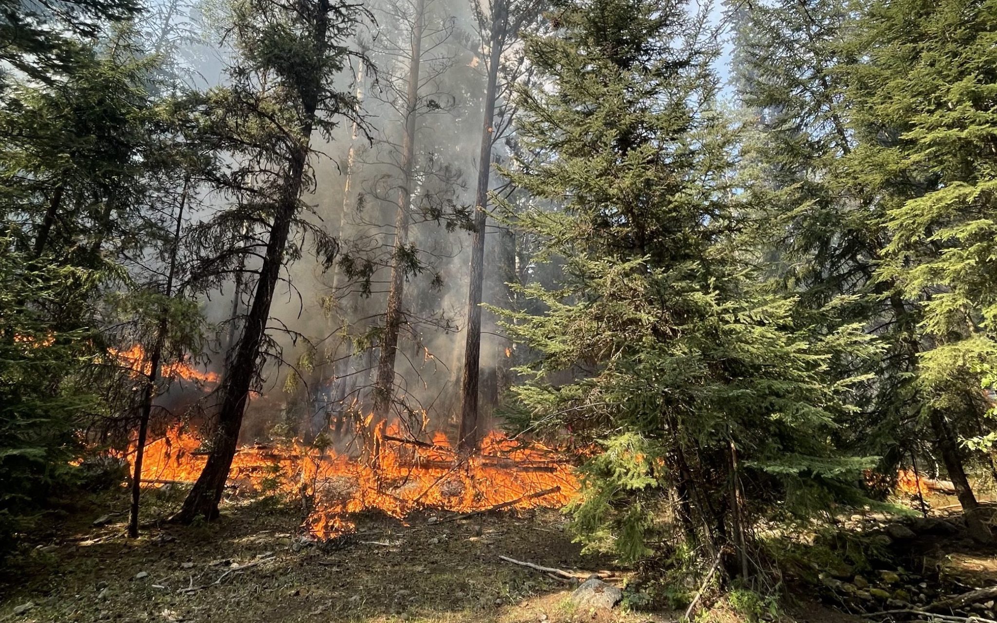 Provincial Wildfire Status Update – July 31, 2023 – BC Wildfire Service