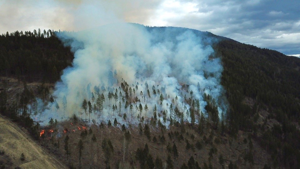 Prescribed fire burning on a slope with scattered trees. 