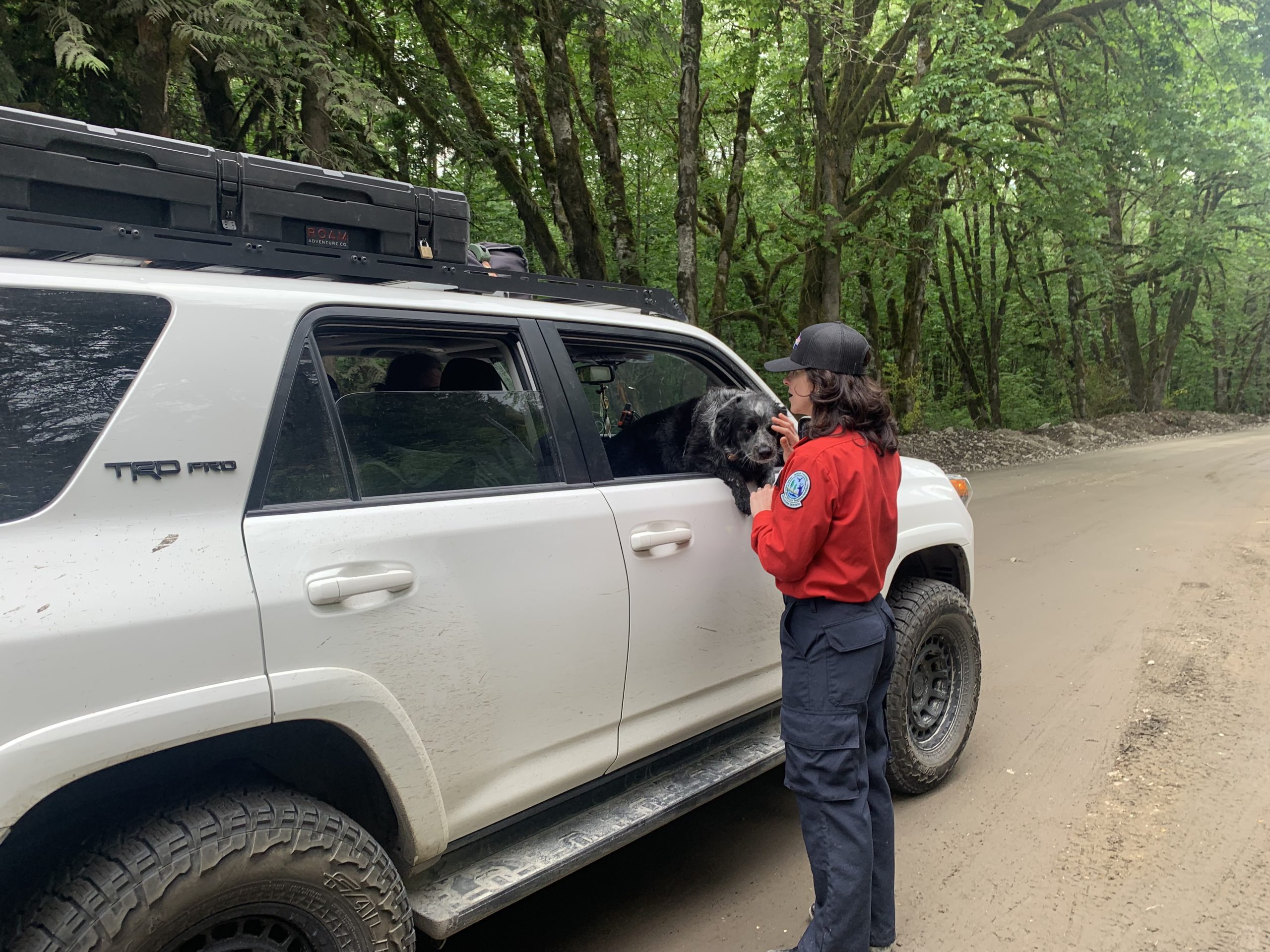 A BC Wildfire Service staff member wearing the official reds and blues uniform addresses a driver of an SUV and their dog.