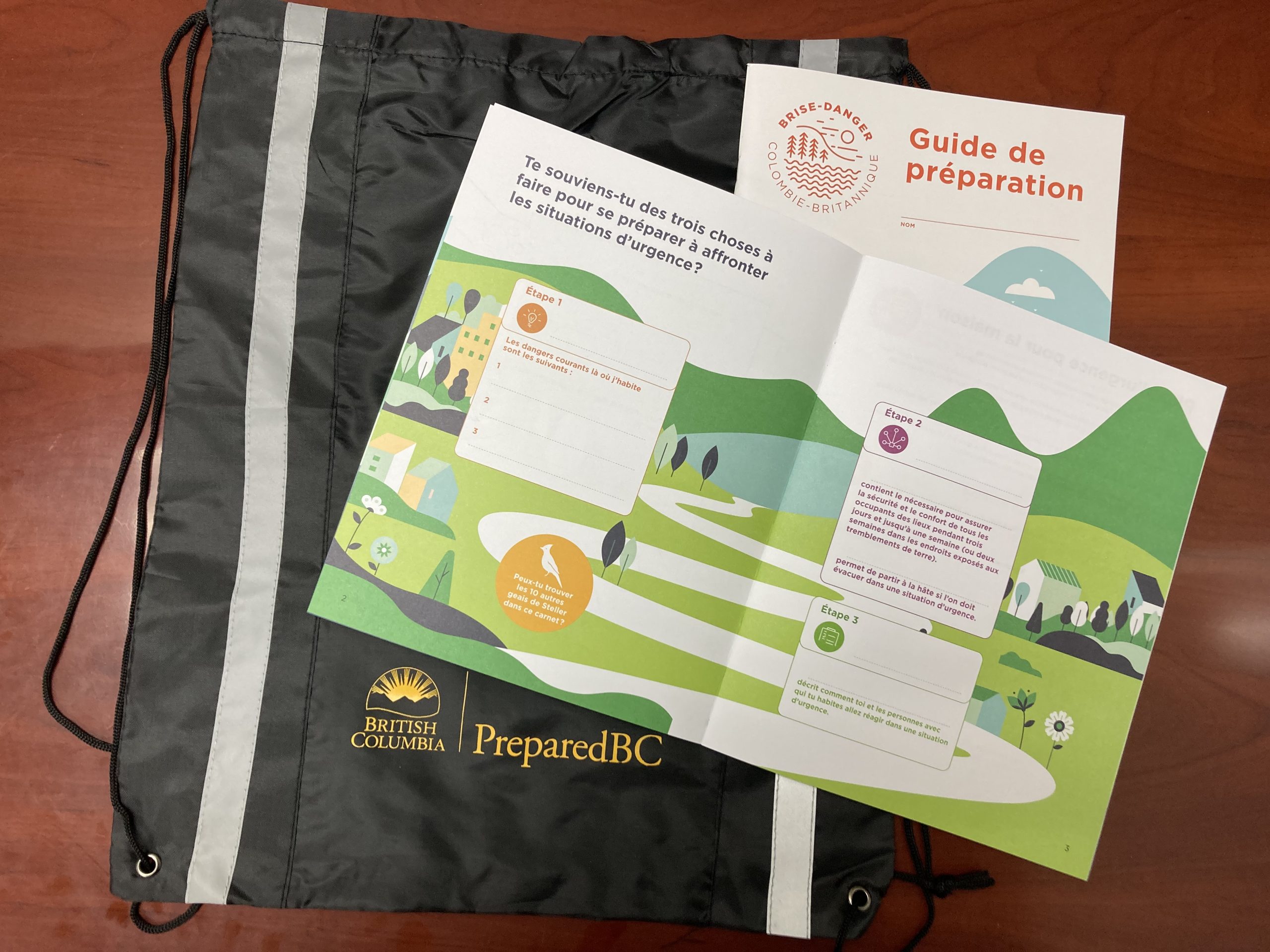 Introducing Brise-danger: French language emergency preparedness education for grades 4-8