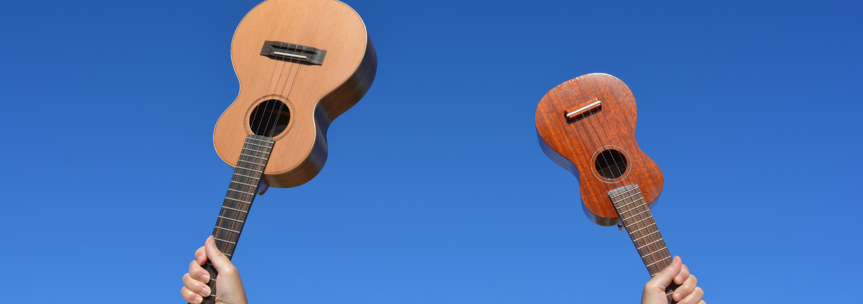 two hands holding ukuleles up in the air