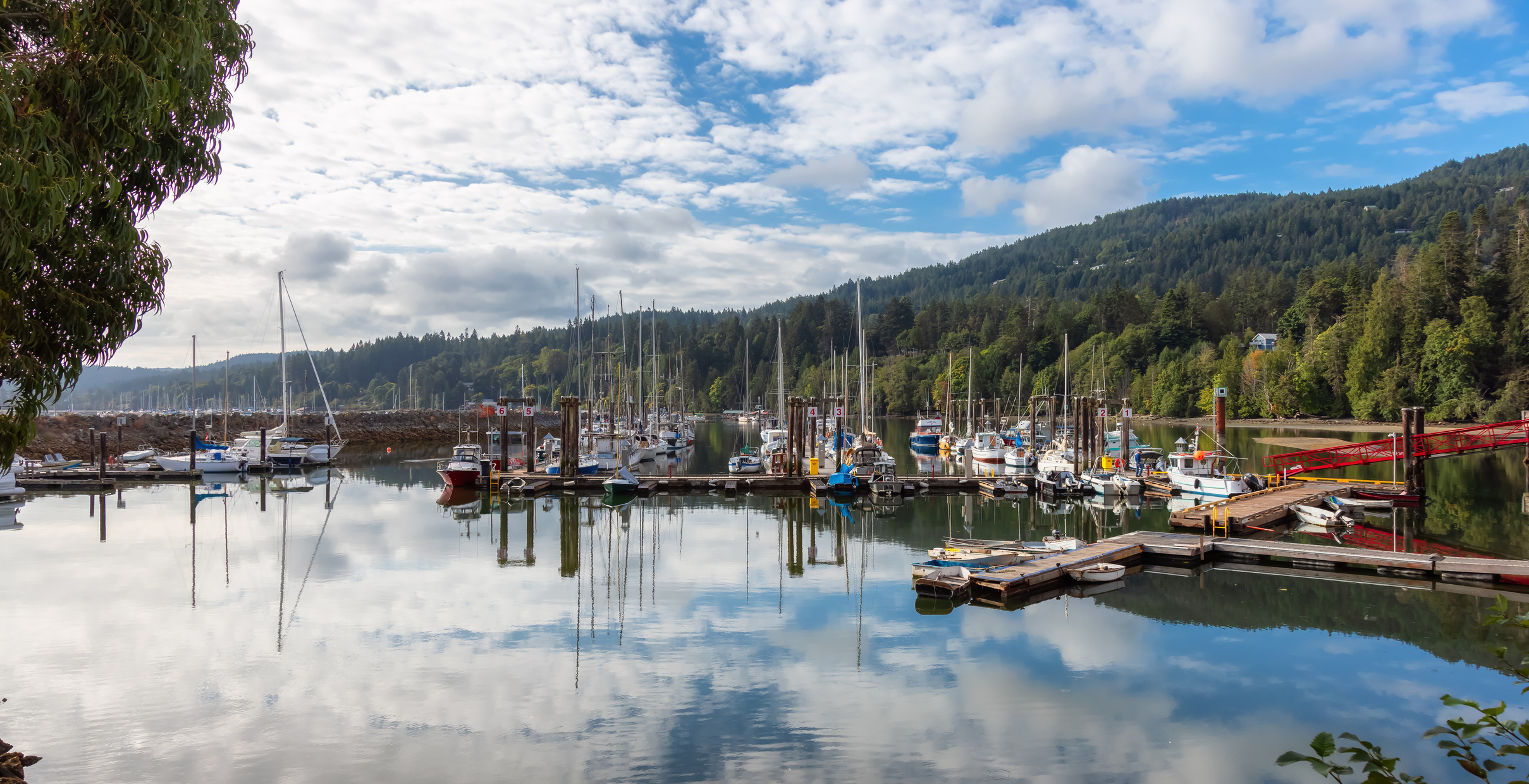 When the storm comes, we turn to each other: A story from Salt Spring Island