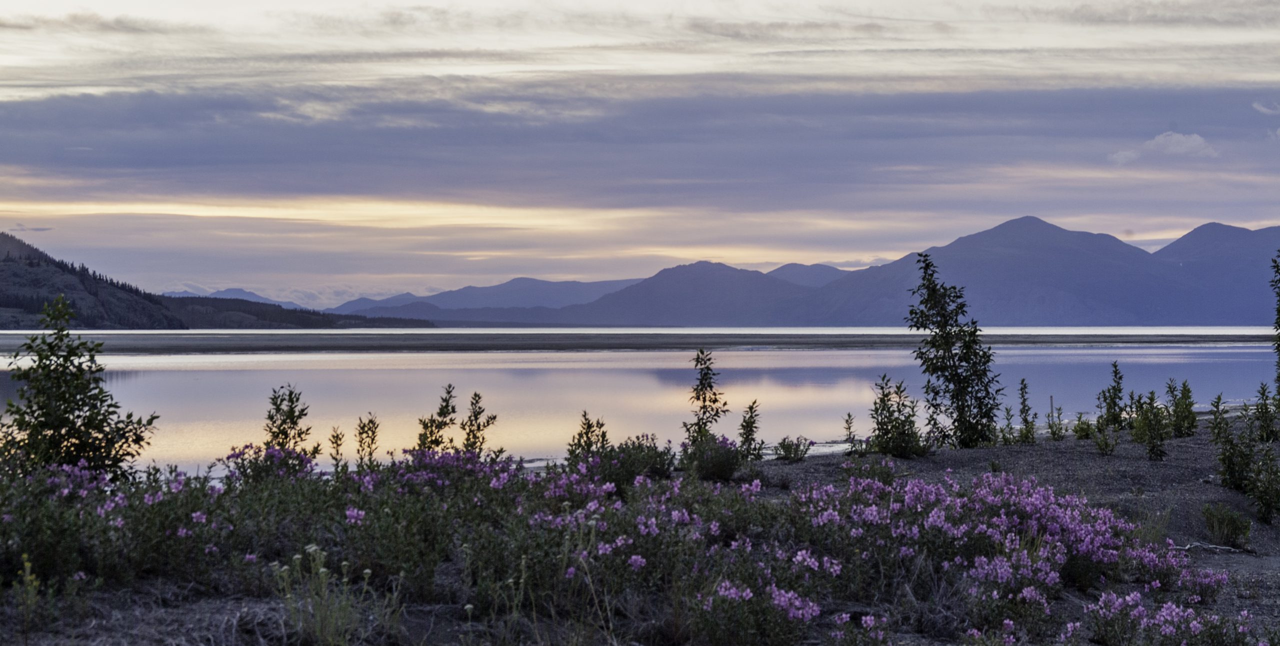 Emergency preparedness and response in Atlin